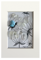 Mariposa Azul