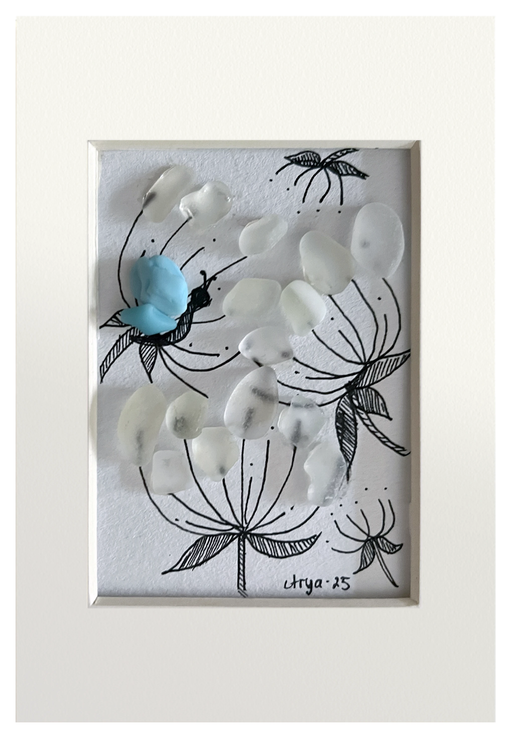 Mariposa Azul