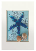 Estrella de mar azul