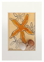 Estrella de mar amarillo