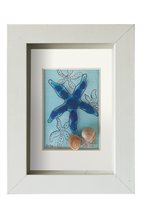 Estrella de mar azul