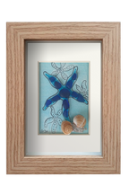 Estrella de mar azul