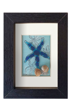 Estrella de mar azul