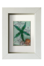 Estrella de mar verde