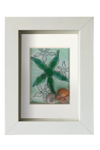 Estrella de mar verde