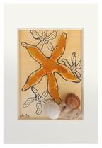 Dibujo de estrellas de mar e el fondo marino. La principal adquiere volumen con vidrio de mar anaranjados
