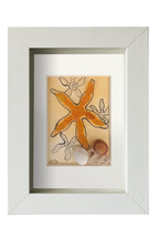 Estrella de mar amarilla