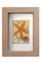 Estrella de mar amarillo