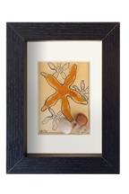 Estrella de mar amarillo