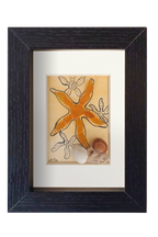 Estrella de mar amarilla