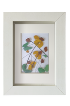 Flores Silvestres