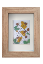 Flores Silvestres