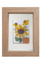 Auringonkukkia ruukuissa