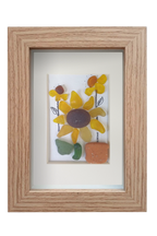 Girasoles en maceta