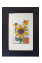 Auringonkukkia ruukuissa